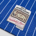 Mitchell & Ness Pánský dres Orlando Magic NBA Penny Hardaway #1 1994-95 Swingman - Modrá Velikost: XL