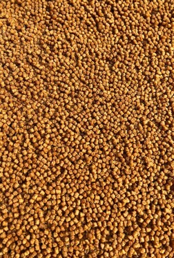 FeederBait Pelety Method Pellet 2mm 800g - Tygří ořech,FeederBait Pelety Method Pellet 2mm 800g - Tygří ořech