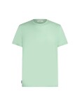 ICEBREAKER Mens Mer 150 Tech Lite III SS Tee, Mint velikost: S