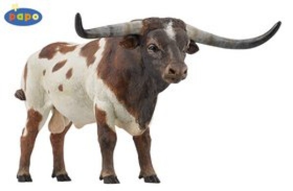 Býk Longhorn