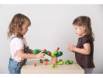 PlanToys PlanToys Balancující kaktus