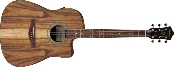 Ibanez V40WSCE Brown