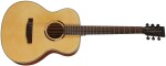 Tanglewood TS3