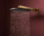 HANSGROHE - Raindance Alive S Hlavová sprcha, průměr 30 cm, EcoSmart, kartáčovaný bronz 24521140