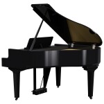 Roland GP-9 PE