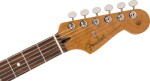 Fender DE Player II Stratocaster RW OXB