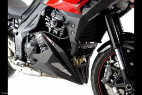 Triumph Tiger 1050 Sport 13-20 Klín pod motor - 4 barvy - Matná černá-stříbrná mřížka
