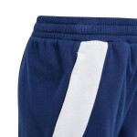 Kalhoty adidas Tiro 24 Sweat Jr IS1008