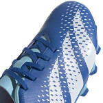 Fotbalové boty adidas Predator Accuracy.4 FxG GZ0010