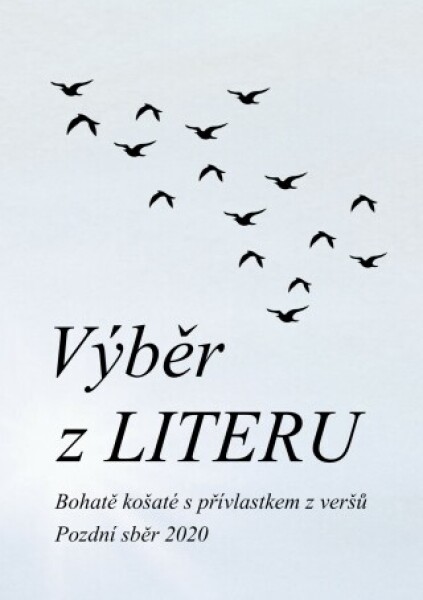 Výběr z LITERU - Čeněk Pekař - e-kniha