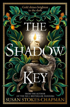 The Shadow Key - Susan Stokes-Chapman