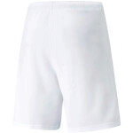 Pánské kraťasy teamRISE Short 704942 03 Puma