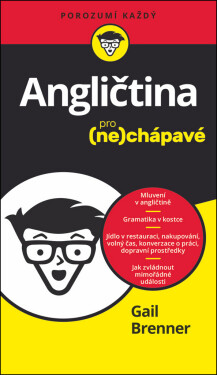 Angličtina pro nechápavé