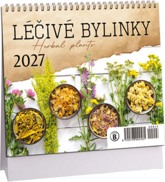Stolní kalendář mini 2027 Aria Léčivé rostliny