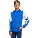 Adidas Squadra 25 Sweat Hoody Jr JD4806 Mikina 164 cm