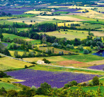 Nástěnný kalendář vázankový/kravata 2026 Helma - Provence