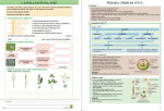 Přírodopis 7, 2. díl - Botanika (barevný pracovní sešit), 6. vydání