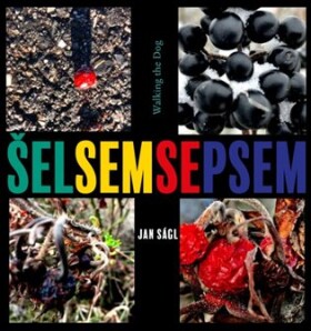 Šel sem se psem