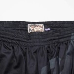 Mitchell & Ness Pánské kraťasy Toronto Raptors NBA Big Face 4.0 Shorts Velikost: XL