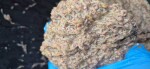 G.B.U. Boilies Superba - 24mm 3kg,G.B.U. Boilies Superba - 24mm 3kg