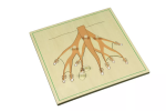 Moyo Montessori Moyo Montessori Puzzle - kořen