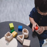 PlanToys PlanToys Geometrická vkládačka