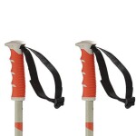 Lyžařské hole Salomon STEEP, Nasturtium Rainy Day délka: 130