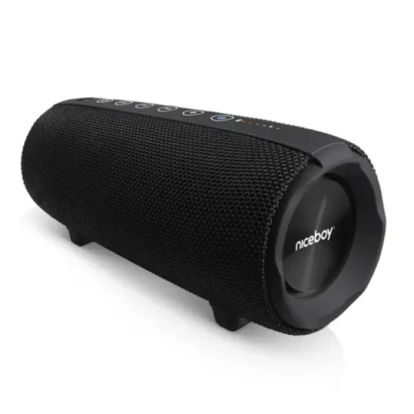 Niceboy Titan 4 černá / Přenosný bluetooth reproduktor / 50 W / 3.5 mm jack / USB / microSD / BT 5.3 (raze-titan-4)