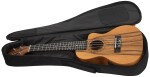 Tanglewood TWT 13 E (rozbalené)