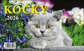 Kalendář 2026 Kočky, stolní, 23 x 14 cm