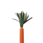 Rifle Paper Co. Sada propisek Tricolor Carrots – set 3 ks, multi barva, plast