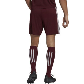 Pánské kraťasy Squadra 21 Short M GN8083 - Adidas xxl