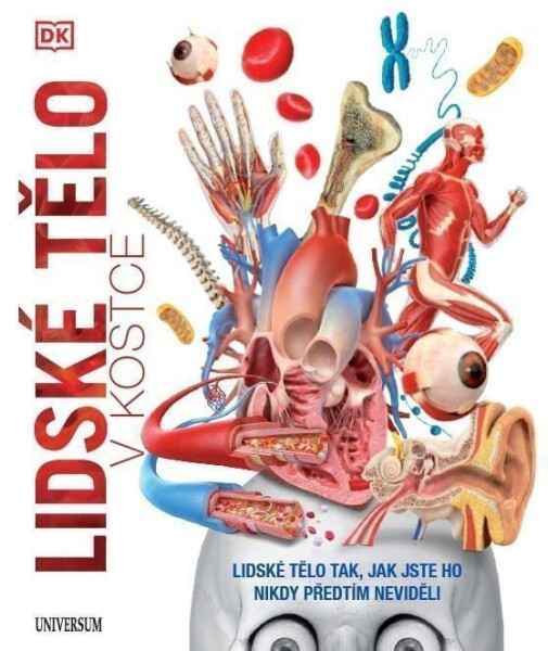Lidské tělo v kostce - kolektiv autorů