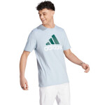 Tričko adidas Essentials Single Jersey Big Logo IJ8576 pánské