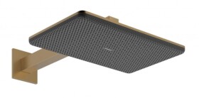 HANSGROHE - Raindance Alive Q Hlavová sprcha, 21x34 cm, 2 proudy, EcoSmart, kartáčovaný bronz 24551140