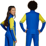 Mikina adidas Squadra 25 Training Jr JP3150 152cm