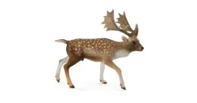 Collecta Daněk evropský