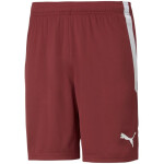 Puma teamLIGA M 704924 09 šortky s
