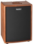 Hughes & Kettner Era 2 Wood