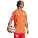 Adidas FC Bayern CO Tee IQ0601