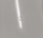 BESCO - Universální vanový panel AVITA - Rozměr vany - 170 × 75 cm (VANAVIT170LCP) 2. jakost