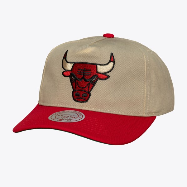 Mitchell & Ness Pánská kšiltovka Chicago Bulls NBA Retro Roots Deadstock