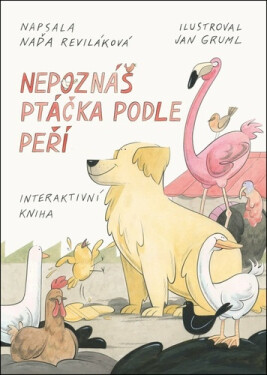 Nepoznáš ptáčka podle peří - Naďa Reviláková