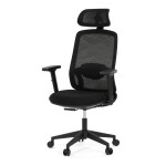 Kancelářská židle, synchronní mechanismus, černá síťovina, KA-S2176 BK