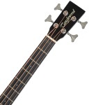 Tanglewood TWBB AB