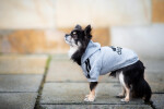 DogBaby bavlněná mikina pro psa Barva: Červená, Délka zad (cm): 25, Obvod hrudníku: 30 - 36 cm
