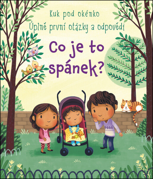 Co je to spánek? - Kuk pod okénko - Úplně první otázky a odpovědi - Katie Daynes