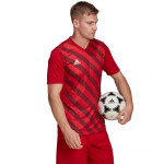 Adidas Entrada 22 Graphic Jersey HB0572