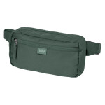 Ledvinka BAAGL Go - Green