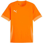 Puma teamGoal Matchday Jersey M 705747 08 pánské L